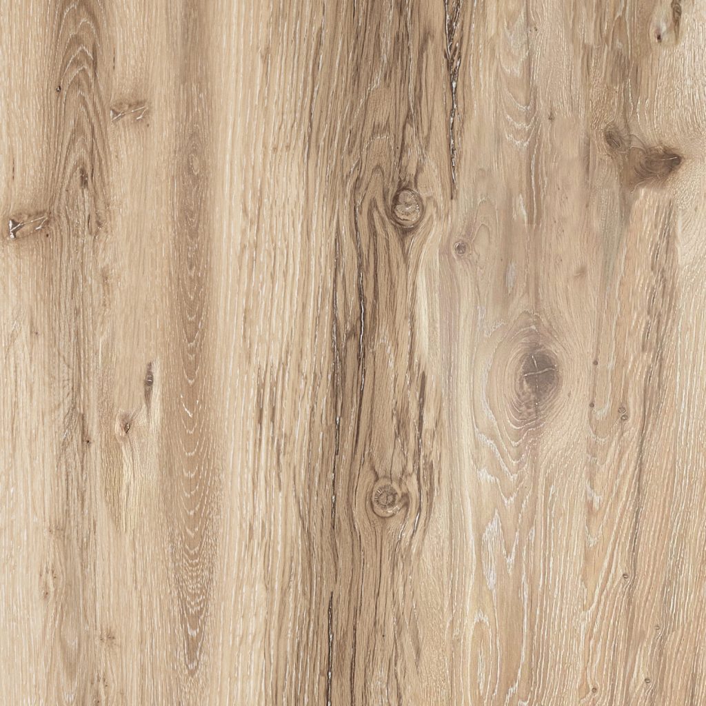 Wild Oak (Finish Code : 504)